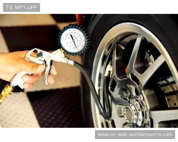 博塔斯模拟低胎压策略