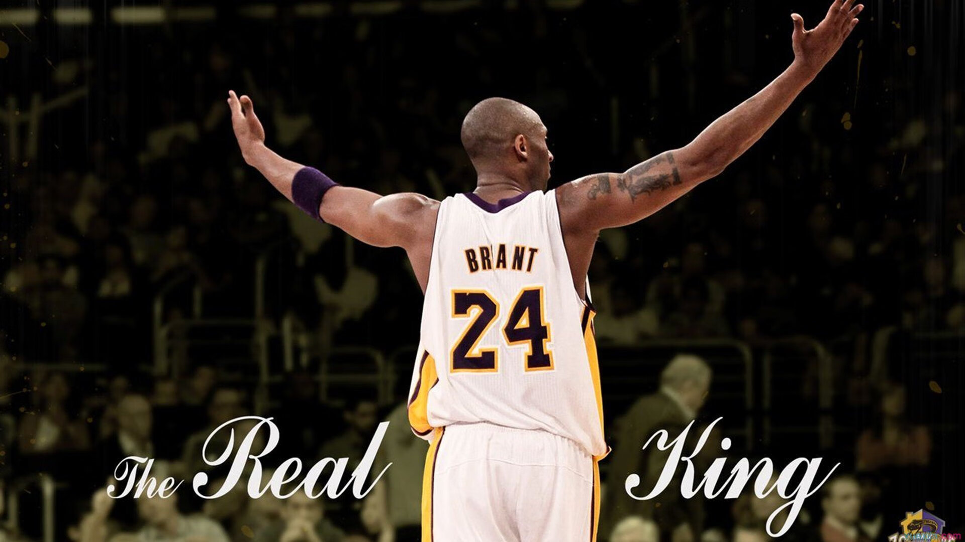 库里加入环保组织推广绿色篮球场,库里的黄色篮球