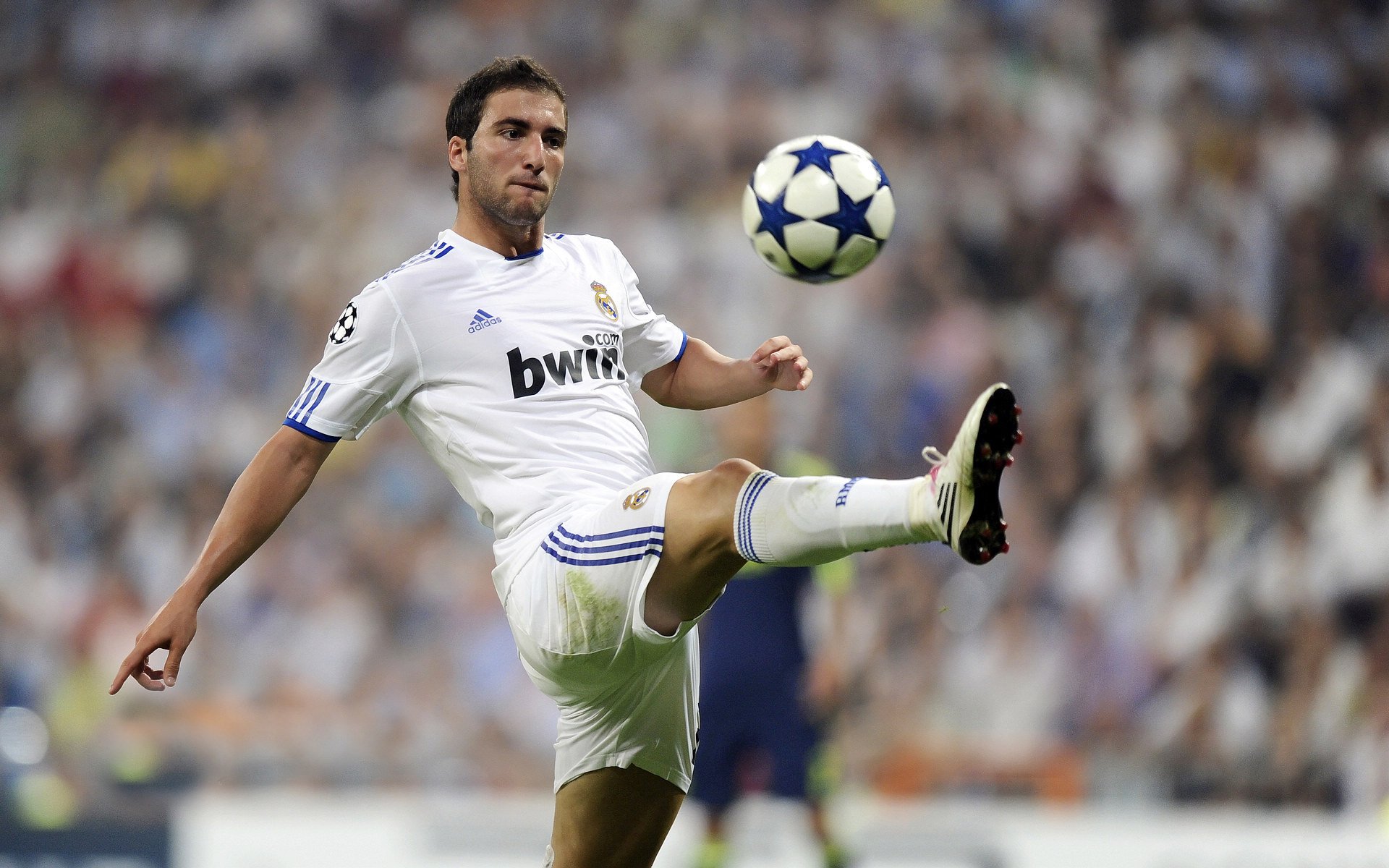 弗赖堡青训小将表现惊艳全场,弗赖堡主帅